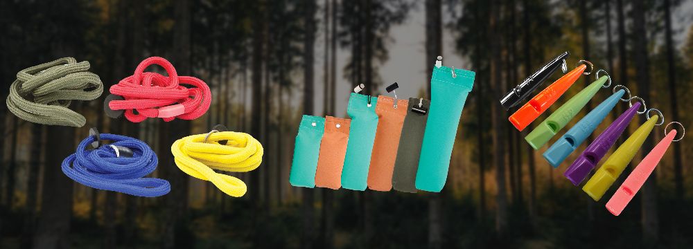 Dog Training For Sale